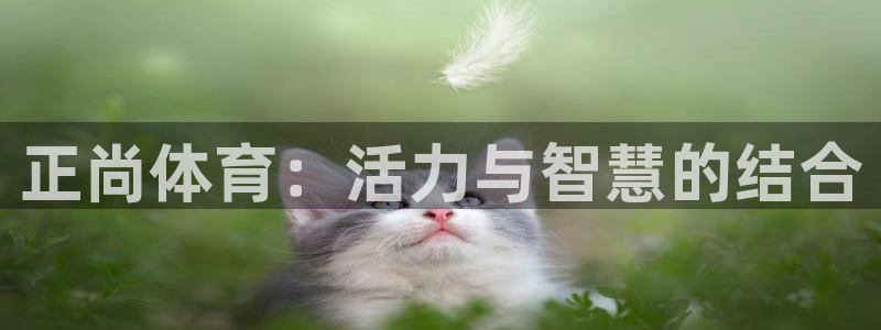 意昂5Kgame体育注册平台