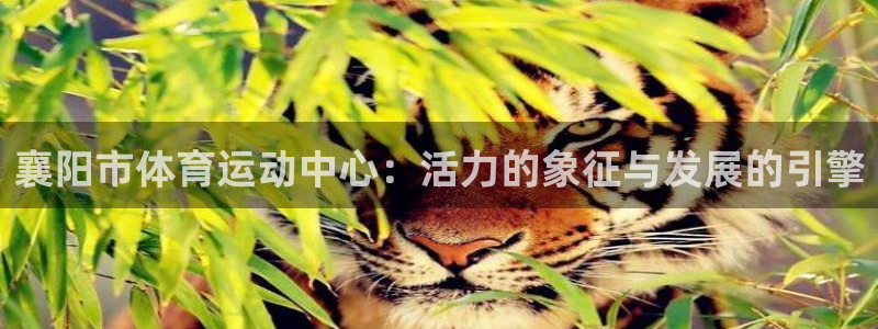 意昂5Kgame3注册