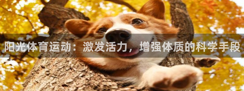 意昂5Kgame体育3在线注册
