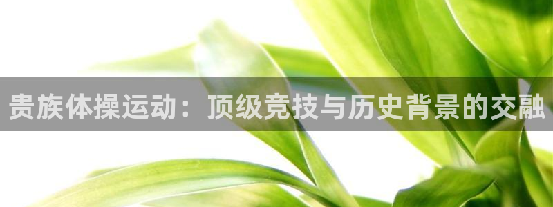 意昂5Kgame代理注册官网入口
