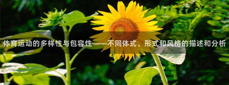 意昂5Kgame体育官网注册