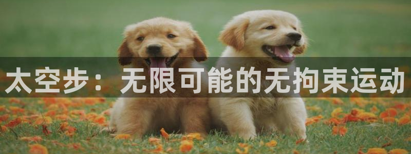 上海意昂5Kgame汽车电子有限公司