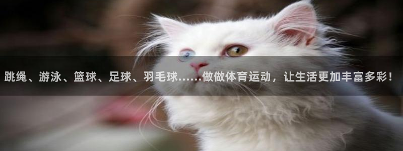 意昂5Kgame2平台登录