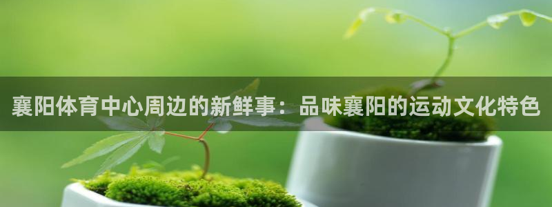 意昂5Kgame体育代理申请流程
